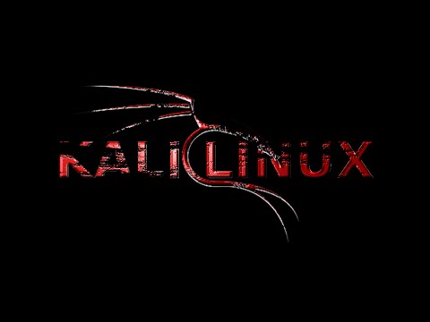  Kali Linux 